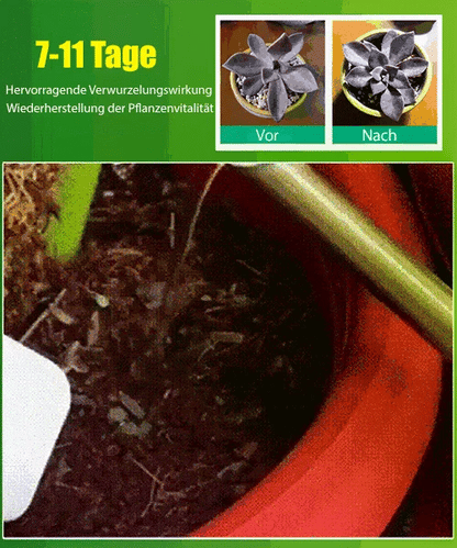 🪴Kaufen Sie 3 für 5 (8 Flaschen）🌼Flüssige Lösung zur Aktivierung von Pflanzen und Blumen✨