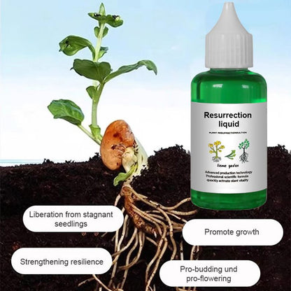 🪴Kaufen Sie 3 für 5 (8 Flaschen）🌼Flüssige Lösung zur Aktivierung von Pflanzen und Blumen✨