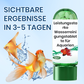 🚀Kaufen 3 und erhalten 5 gratis♻️💧Leistungsstarke Wasserreinigungstablette für Aquarien