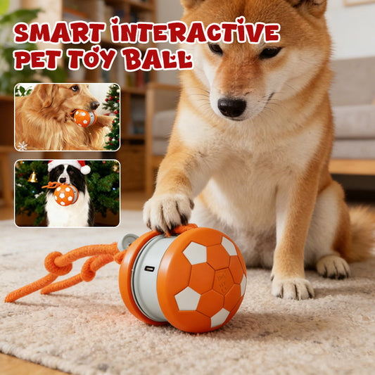 Intelligenter interaktiver Spielball für Haustiere
